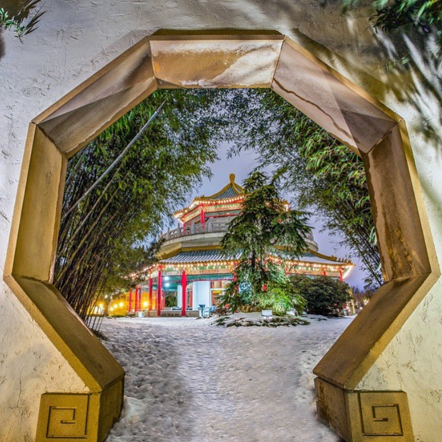 The Pagoda and Oriental Garden